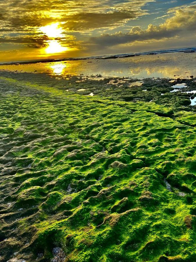 Apartmán Paraiso Dos Corais Guarajuba Exteriér fotografie