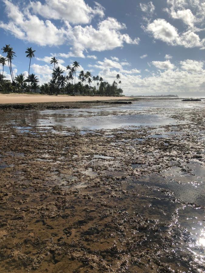 Apartmán Paraiso Dos Corais Guarajuba Exteriér fotografie